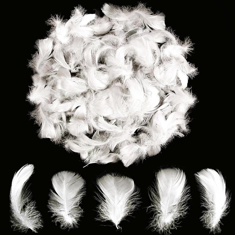 Lamar Feather Lamar 300Pcs 2-3'' White Feathers Bulk for Crafting, Dream Catcher Accessories, Art Projects, DIY Crafting, Handi Crafts, Party Decoration (White) - Image 1